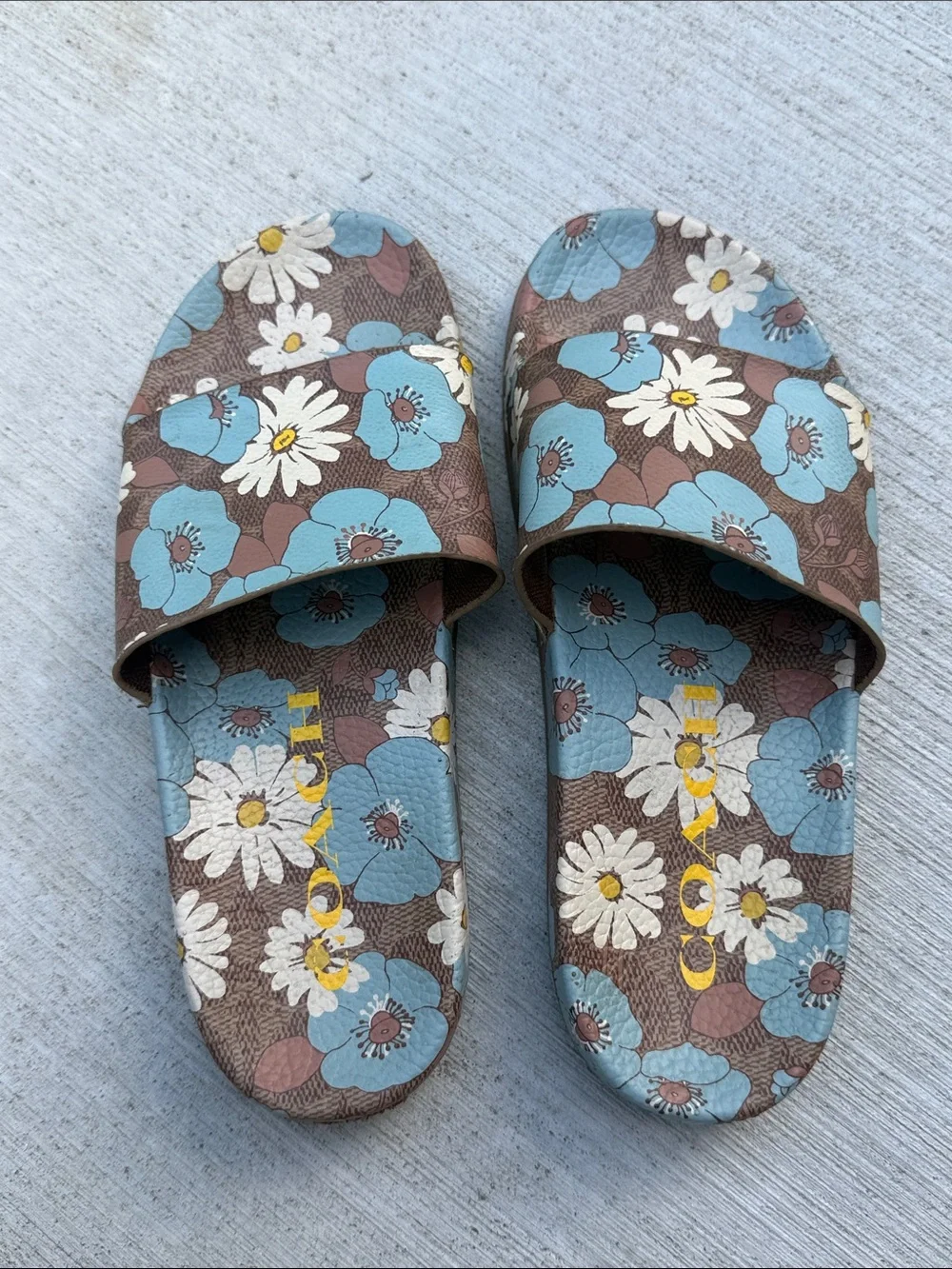 COACH Udele Floral Sport Slide Blue/ Brown Women’s Size 7